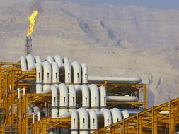Turkmenistan begins shipping gas to Turkey via Iran: Minister