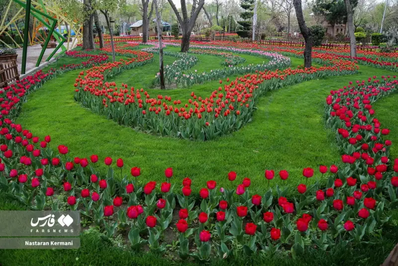 عکس های منتخب ایران، شنبه 16 فروردین 1404