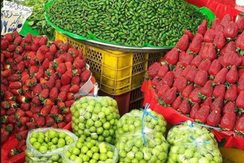 کاهش قیمت چغاله بادام و گوجه سبز در میادین میوه و تره بار شهرداری تهران