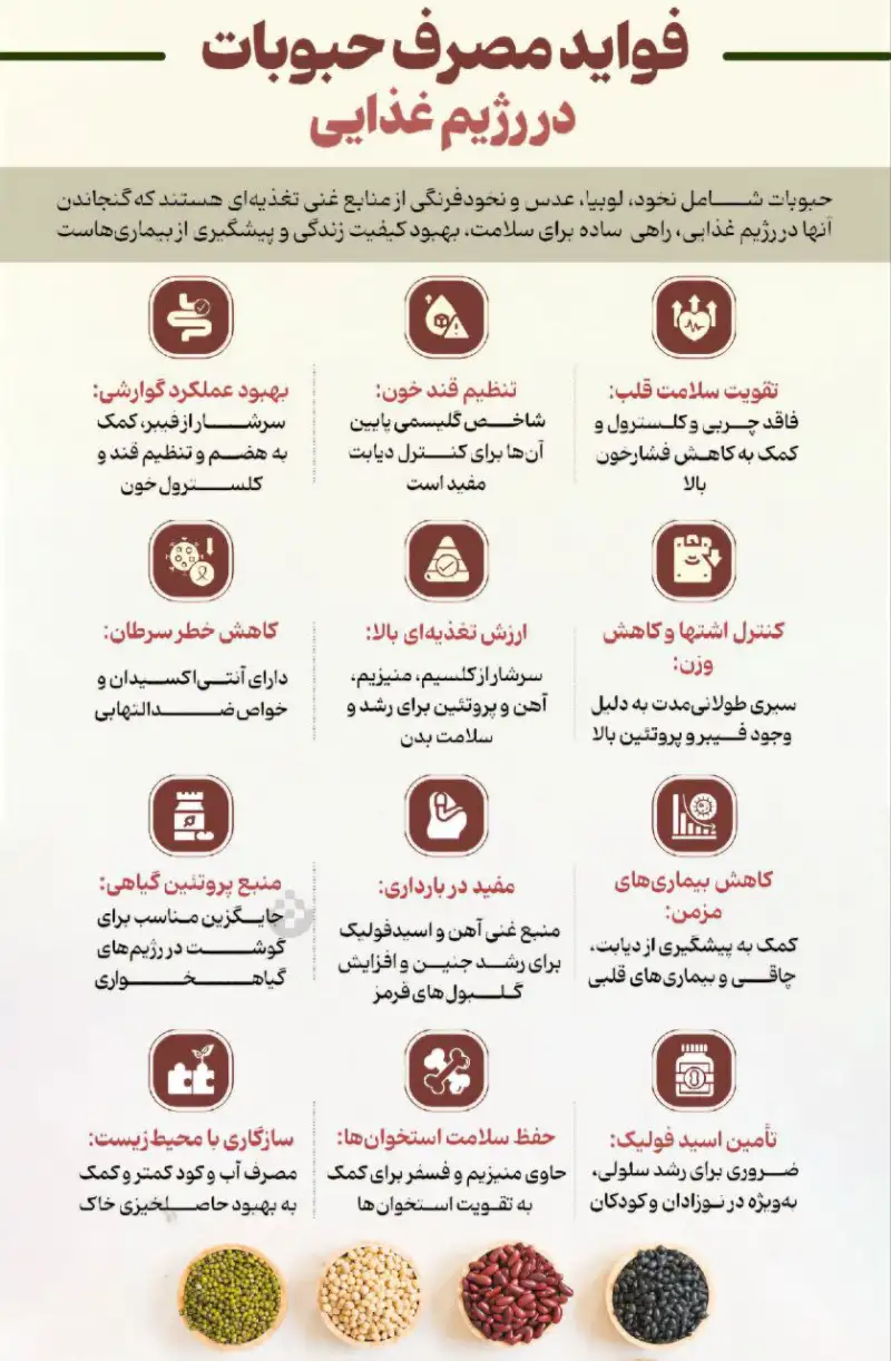نوراینفو | فواید مصرف حبوبات در رژیم غذایی