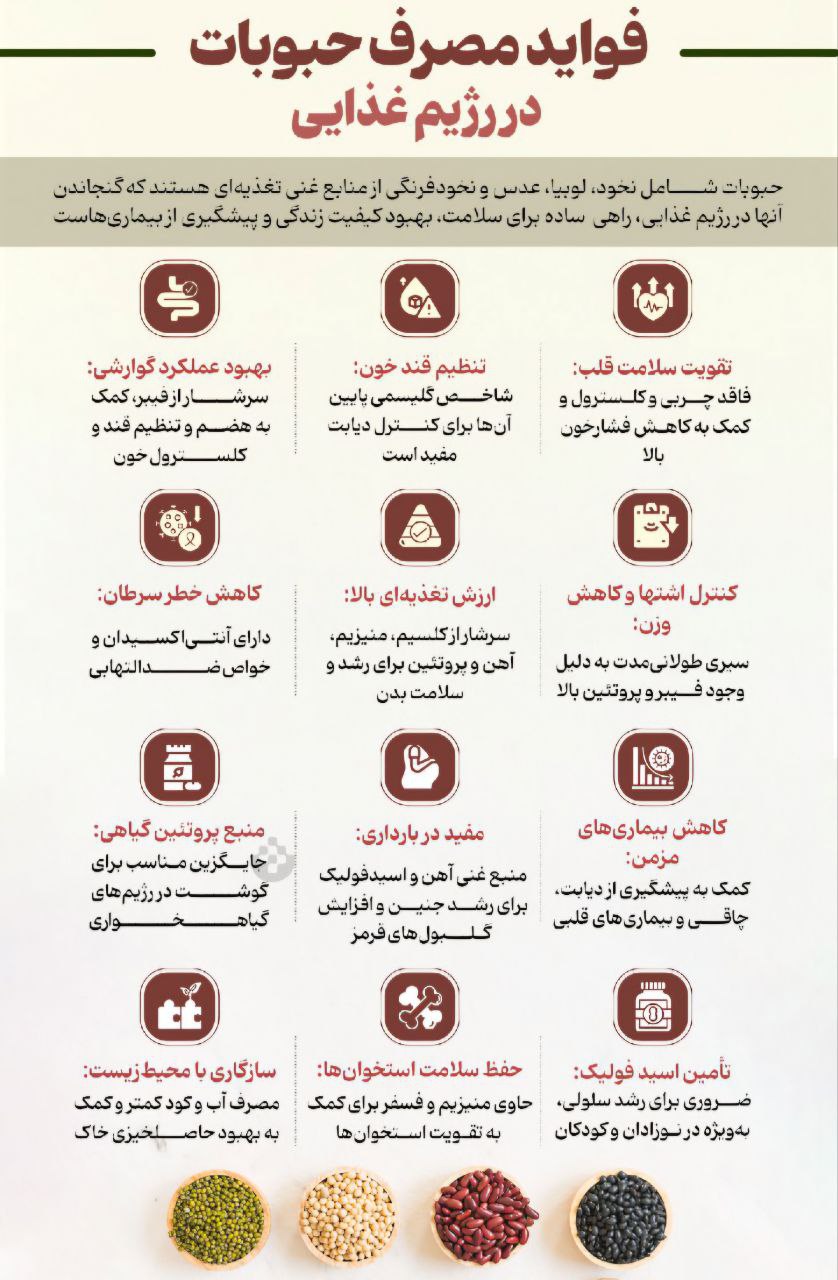نوراینفو | فواید مصرف حبوبات در رژیم غذایی