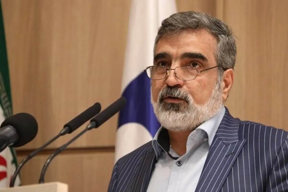 آیا ایران تنها غنی‌ساز بدون سلاح هسته ای است؟