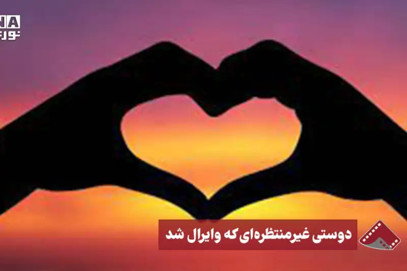 نورنما | دوستی غیر منتظره ای که وایرال شد