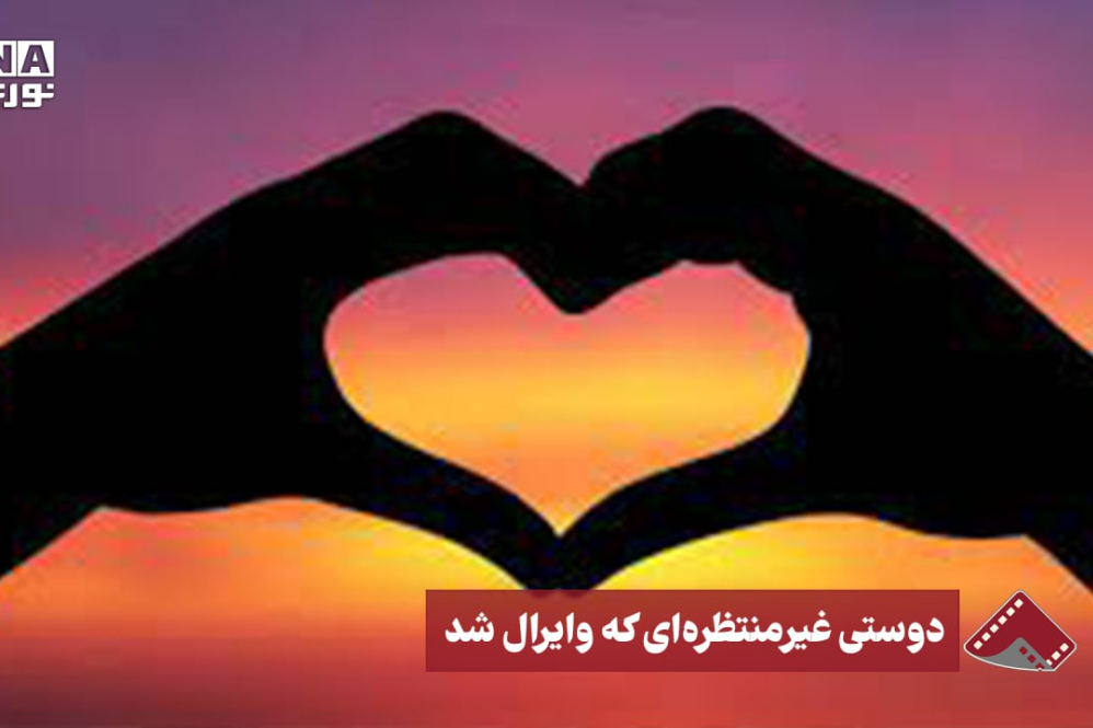نورنما | دوستی غیر منتظره ای که وایرال شد