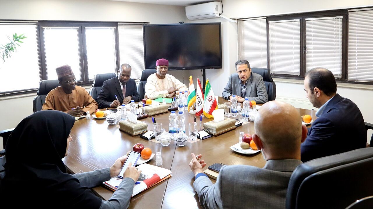 Envoy: Niger welcomes import of mineral products from Iran