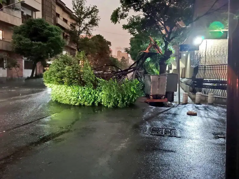 توفان و رگبار در راه تهران؟ +اطلاعیه هواشناسی
