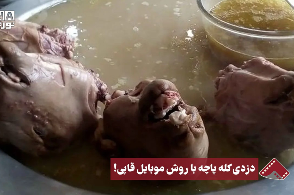 نورنما | دزدی کله پاچه با روش موبایل قاپی!