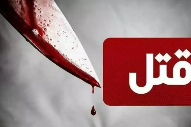 6 کشته و مجروح در حمله با سلاح سرد به عابرین در شیراز