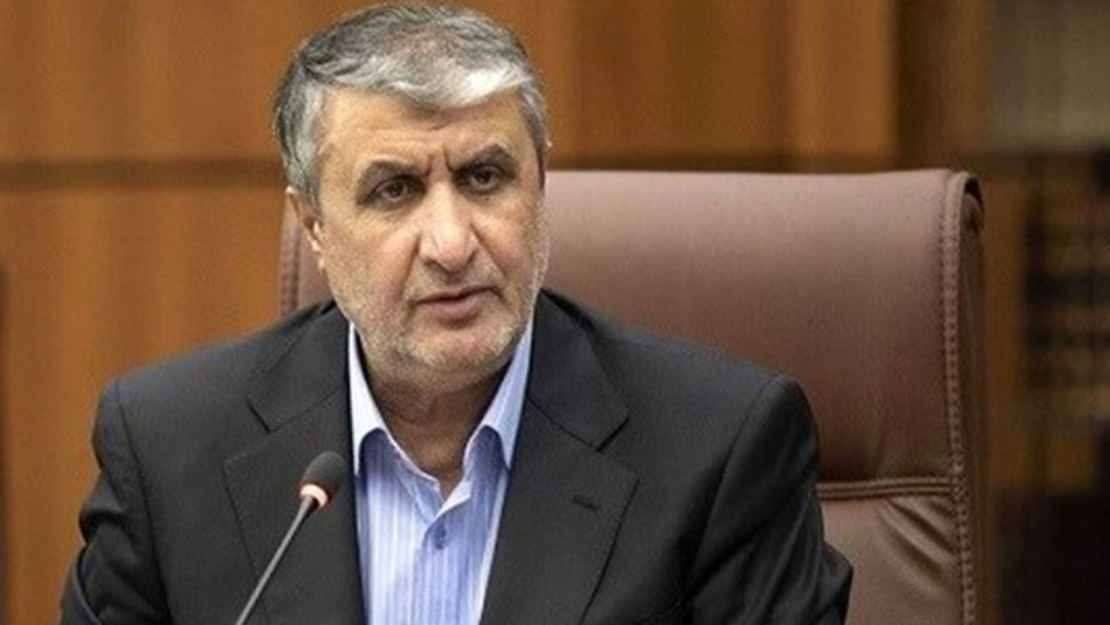 Iran launches plan to produce 20,000 megawatts of nuclear electricity: AEOI chief