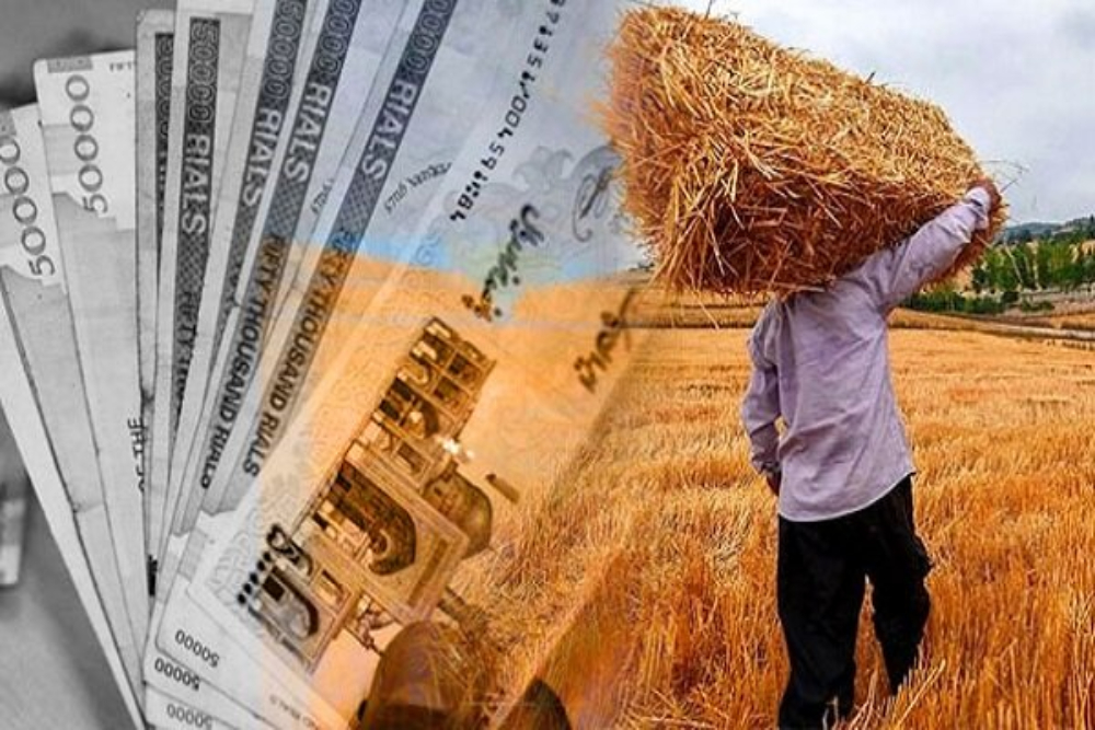 گندم‌کاران، دو ماه منتظر پول‌اند!