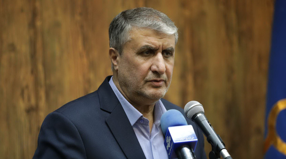 Nuclear chief: No treaty can ignore Iran’s right to nuclear industry
