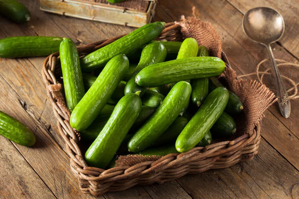فواید شگفت‌انگیز مصرف منظم خیار برای بدن