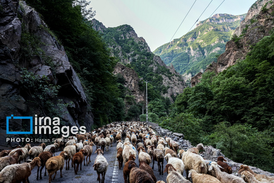 عکس های منتخب ایران، دوشنبه 19 خرداد 1404