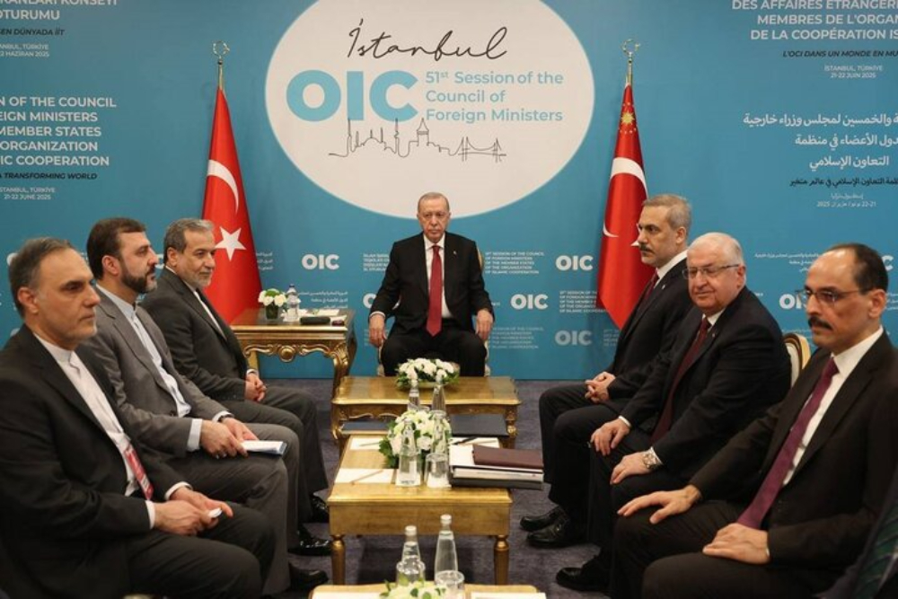 عراقچی با اردوغان دیدار کرد