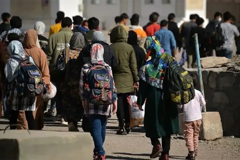 اخراج اتباع غیرمجاز همچنان ادامه دارد