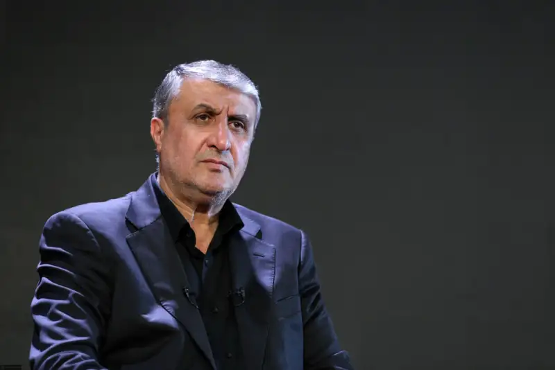 اسلامی: حمله به تأسیسات هسته‌ای ایران نمایانگر حاکم بودن قانون جنگل بر جهان شد