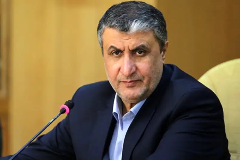 اسلامی: پیشرفت هسته‌ای ایران متوقف نخواهد شد+ فیلم