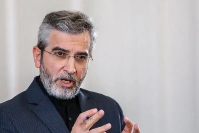 دبیر شورای راهبردی روابط خارجی: دیپلماسی انتخاب حکیمانه ایران بوده و هست
