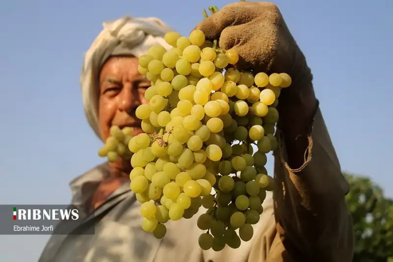 عکس های منتخب ایران، چهارشنبه 18 تیر 1404