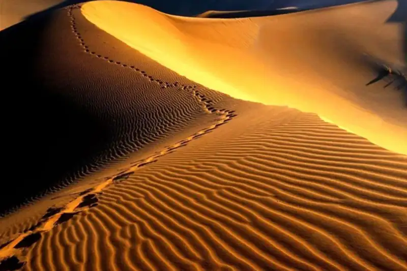 خطر خروج بیابان لوت از فهرست یونسکو