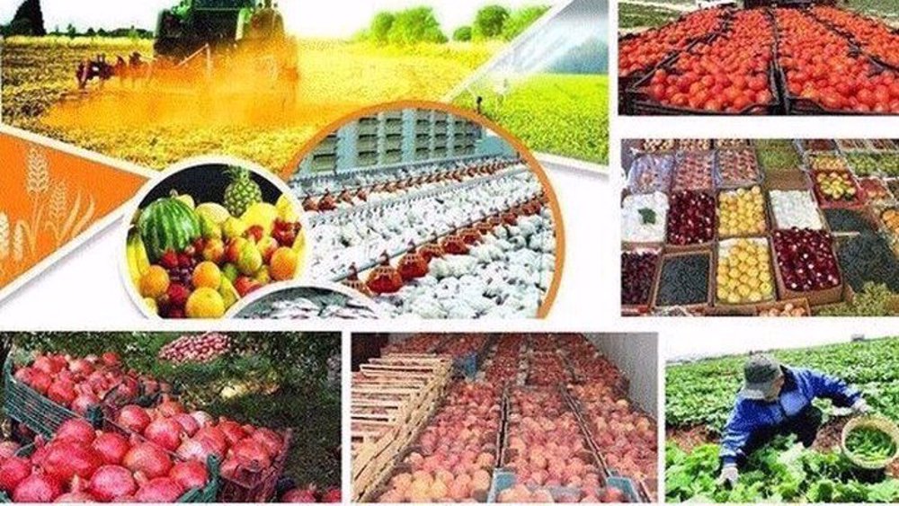 Iran’s path to unlocking $30bn agricultural export potential