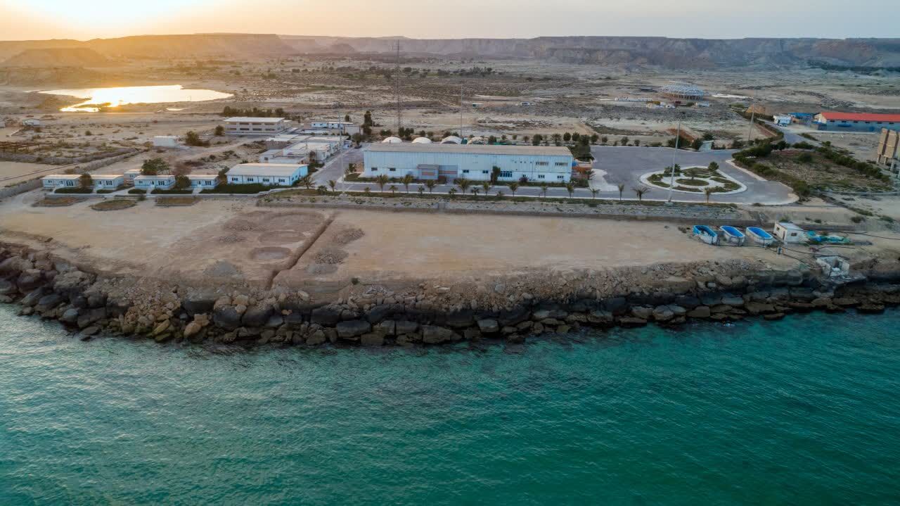 Qeshm Island possesses unique potential in developing blue economy: Iranian official