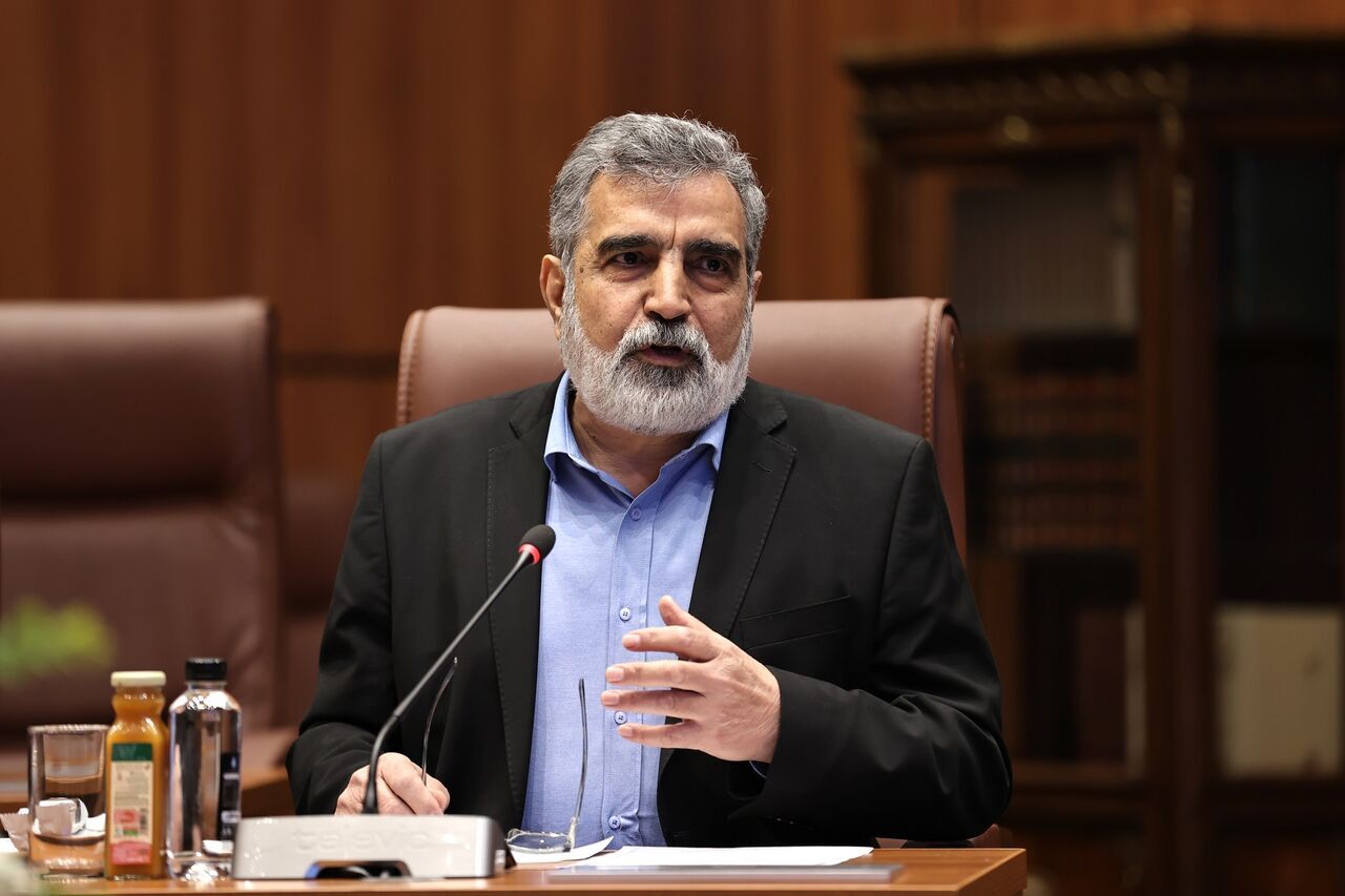 A.E.O.I. spokesperson says Iran’s nuclear industry is domestic and will thrive again