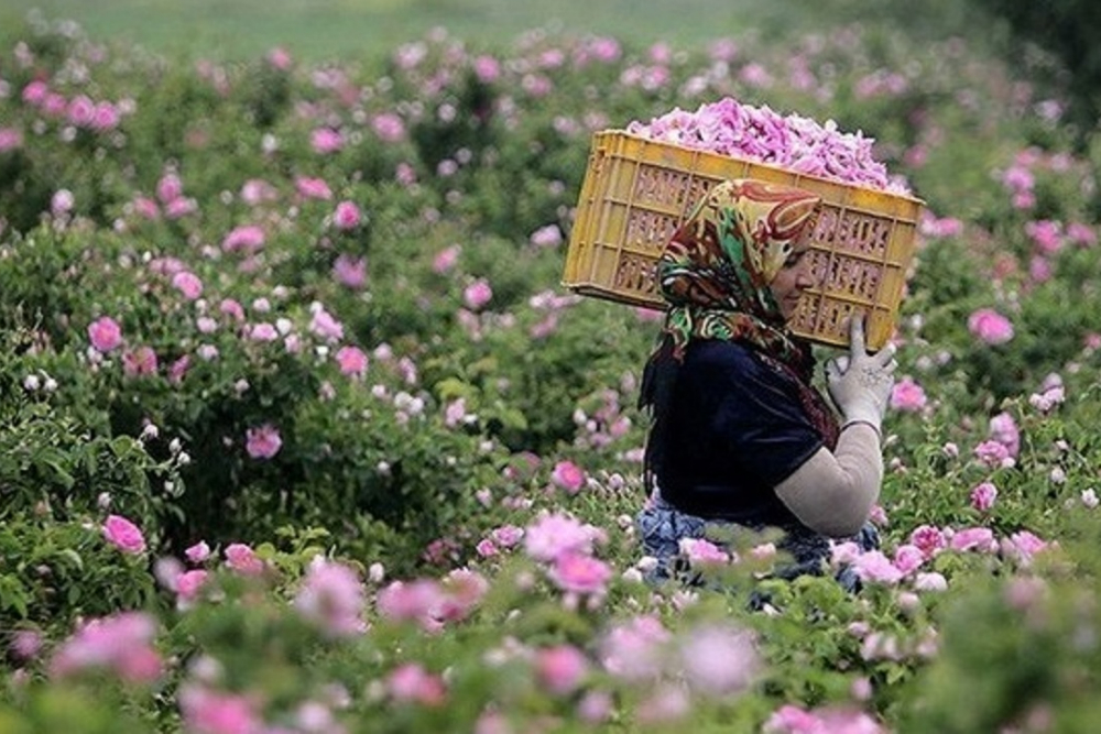 Introduction to Tourist Attractions of Iranian Cities