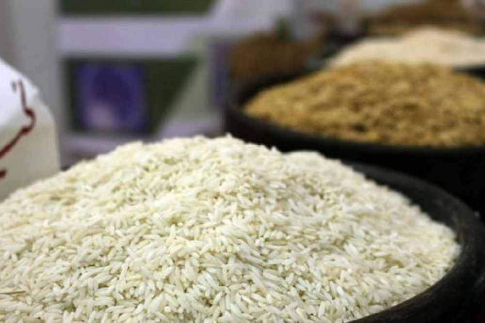 وزیر جهاد کشاورزی: قیمت برنج داخلی به‌زودی متعادل می‌شود