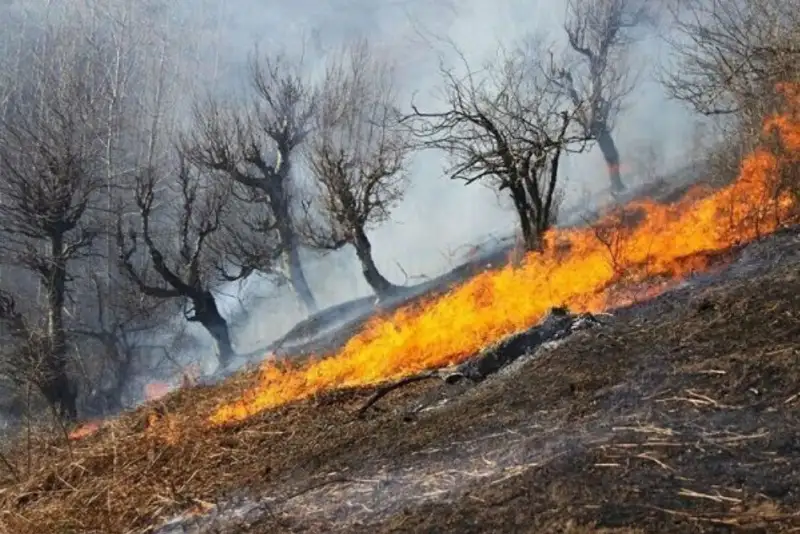 اعزام 50 نیروی امدادی برای مهار آتش‌سوزی در گیسکان