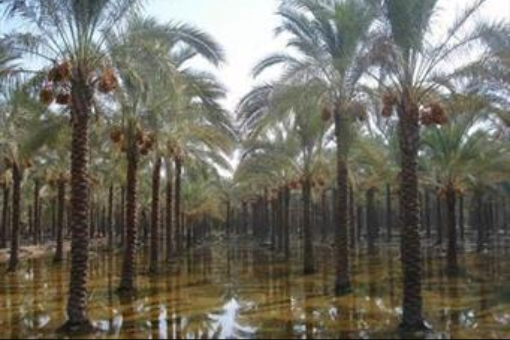 Introduction to Tourist Attractions of Iranian Cities