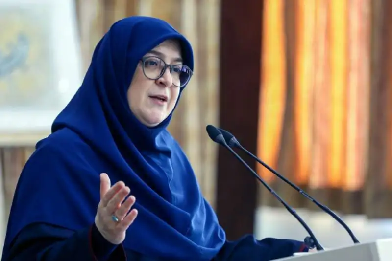 مهاجرانی: عدالت آموزشی و آرامش دو اولویت کلیدی دولت است