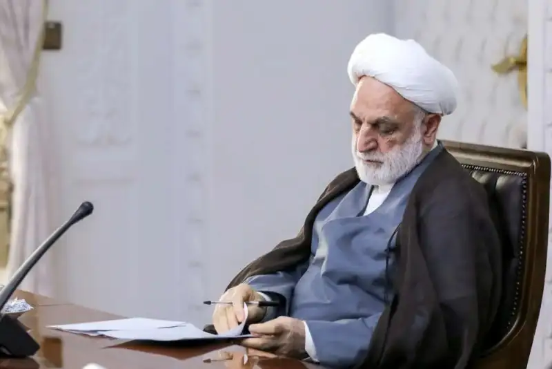آقای محسنی اژه‌ای! این کافی نیست