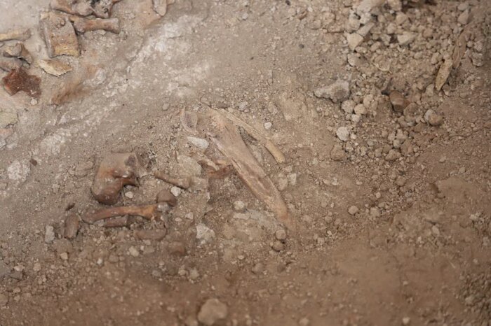 Ilkhanid-era royal cemetery discovered near Soltanieh Dome