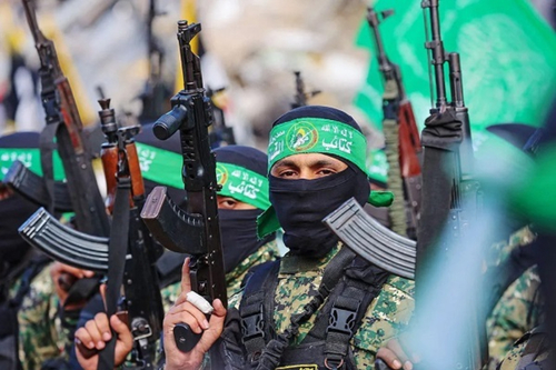 Disarmament Plan: Final Link in the Chain of Occupation and Destabilization