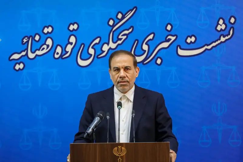 سخنگوی قوه قضائیه: تسویه بدهی بابک زنجانی به بانک مرکزی در اولویت قرار دارد