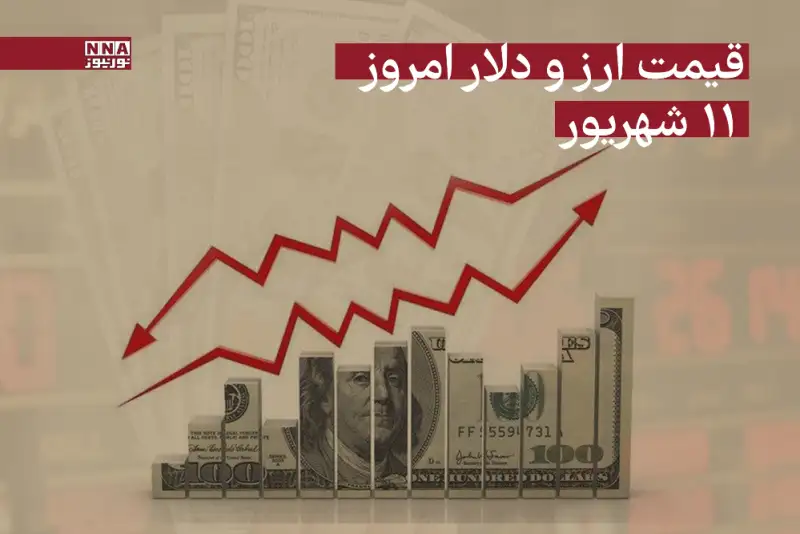 قیمت دلار و سایر ارزها امروز 11 شهریور 1404+جدول