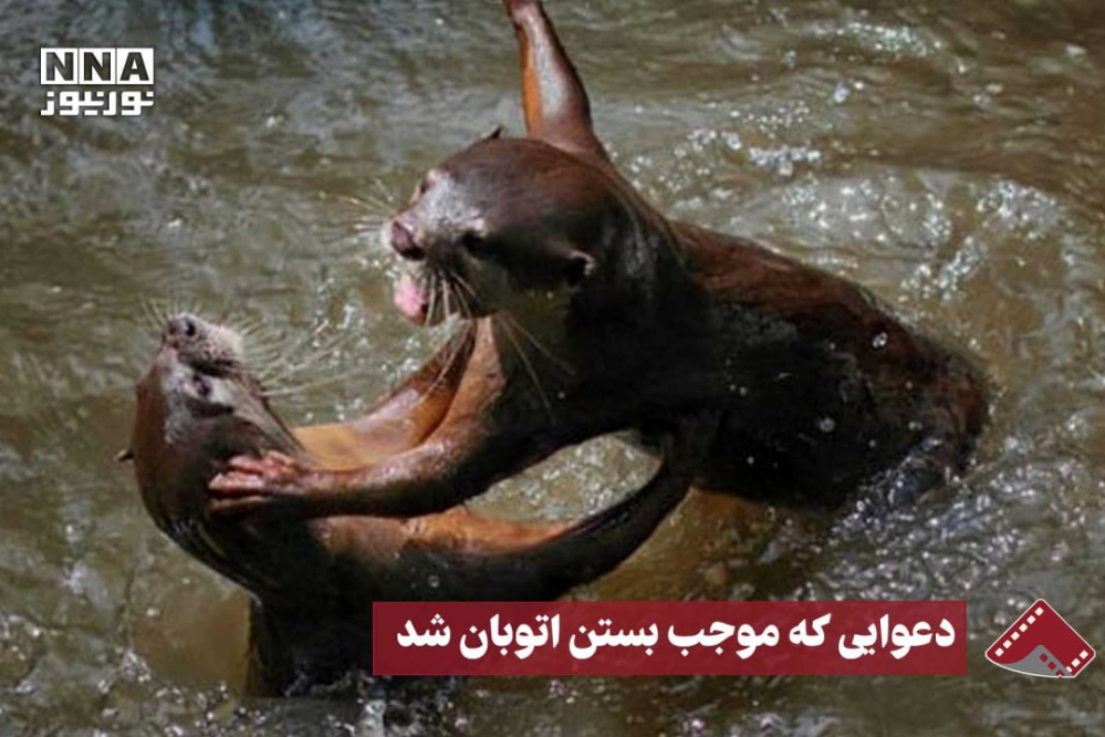 نورنما | دعوایی که موجب بستن اتوبان شد