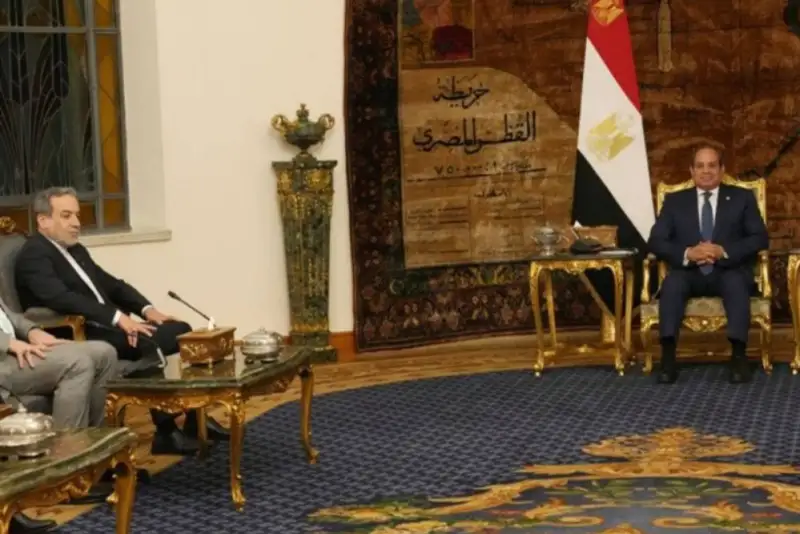 دیدار عراقچی با رئیس‌ جمهور مصر