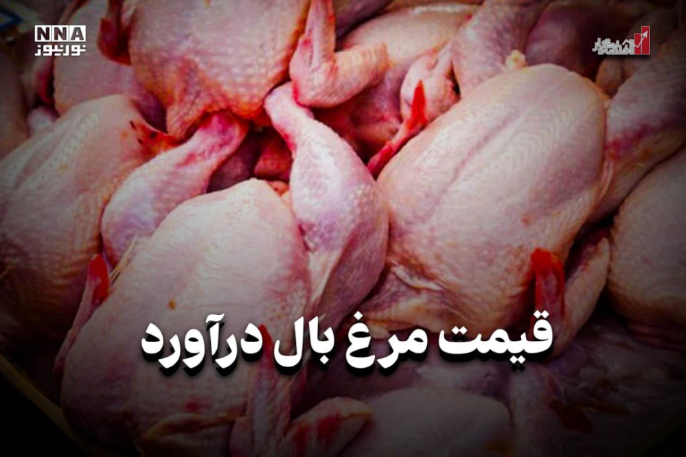 اقتصادنگار | قیمت مرغ بال درآورد