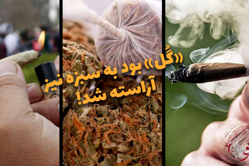 دوفوریتی |《گل 》بود به سبزه نیز آراسته شد!