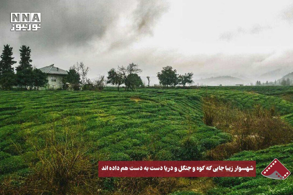 نورنما | شهسوار زیبا جایی که آب و جنگل و دریا دست‌به‌دست هم داده‌اند