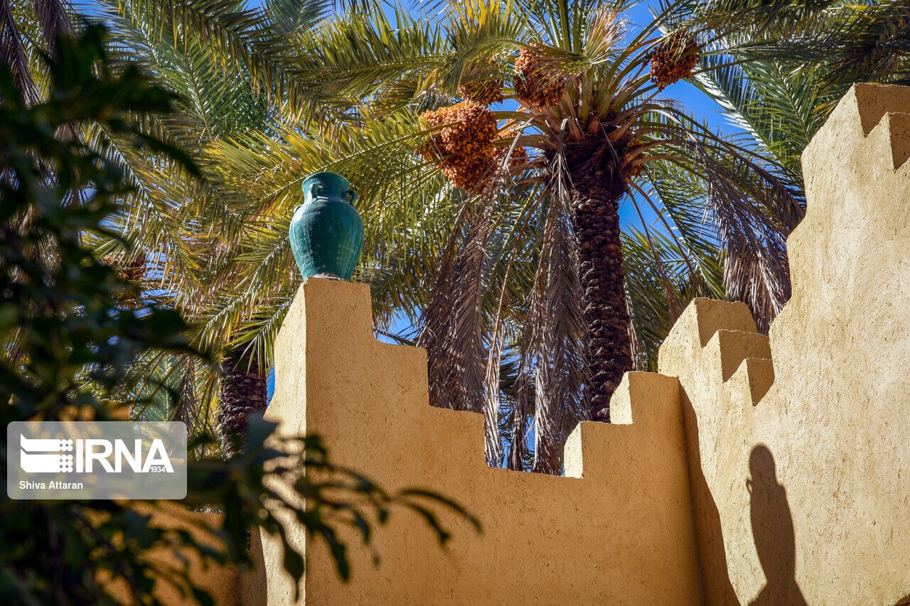 Dayrestan Village of Qeshm Island Hosts Second Agricultural Nowruz Festival