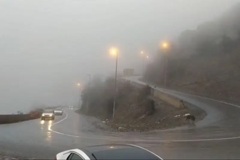 جاده چالوس از ساعت 12 امروز یکطرفه شد