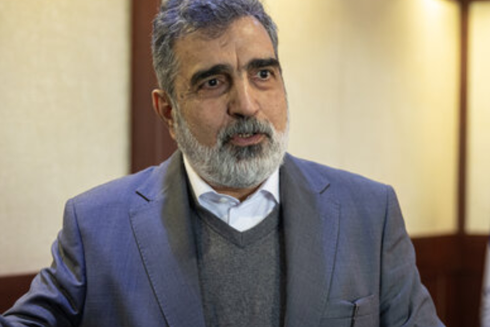 Russia to build 5 other nuclear plants for Iran: Kamalvandi