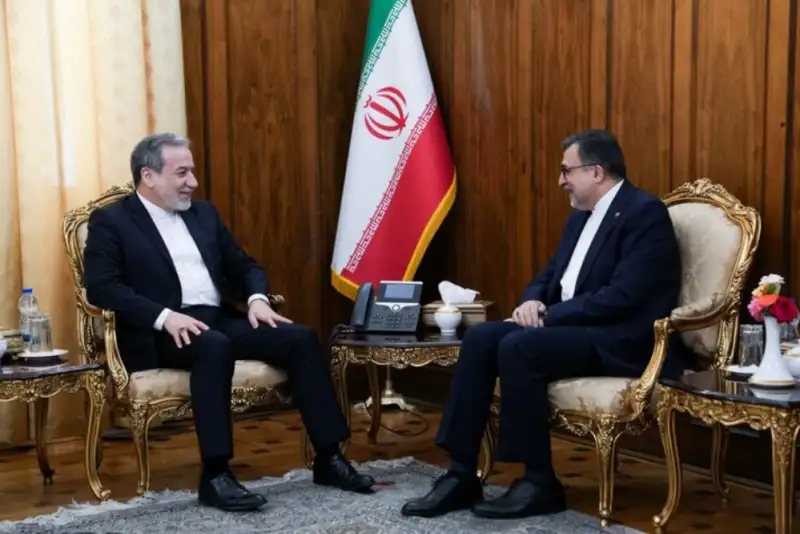 دیدار سفیر و نماینده دائم ایران نزد سازمان همکاری اسلامی با عراقچی