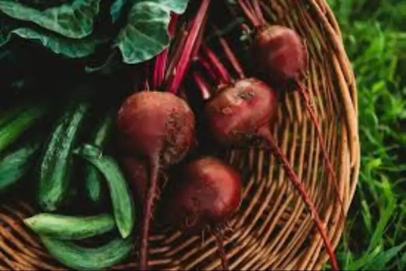 بمب سلامتی پاییزی را بشناسید