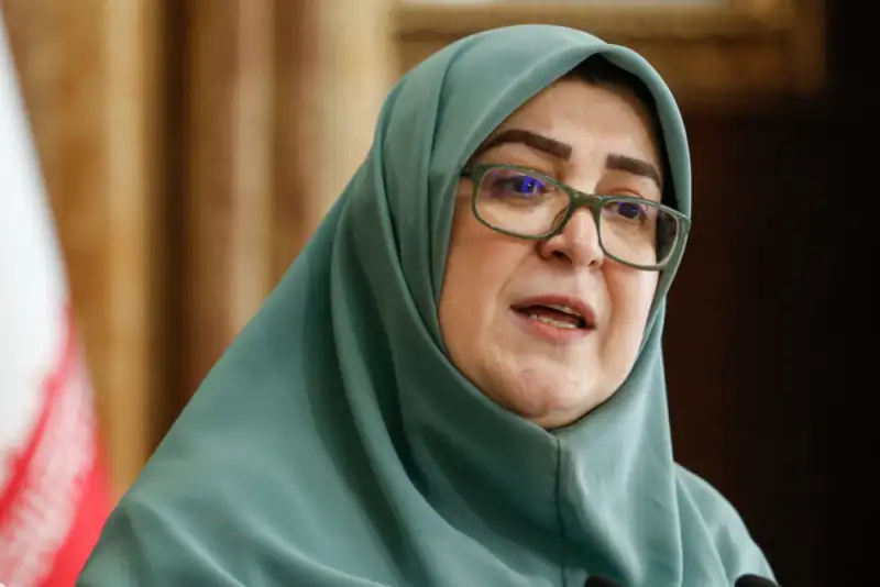 موضع دولت درباره بنزین شفاف است