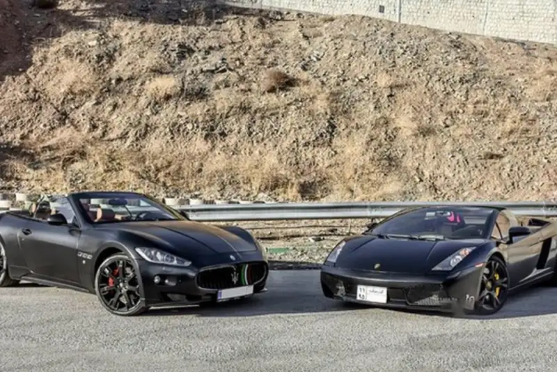 وزیر کار: تنها 4 نفر در ایران لامبورگینی دارند