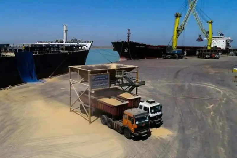 آغاز تخلیه نیم میلیون تن نهاده دامی در بندر امام خمینی